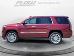 2019 Cadillac Escalade Platinum